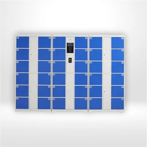 Multi-Purpose Electronic Locker Storage